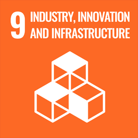 9. Build a foundation for industry and technological innovation