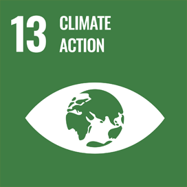 13. Take concrete measures against climate change