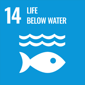 14. Protect the richness of the ocean